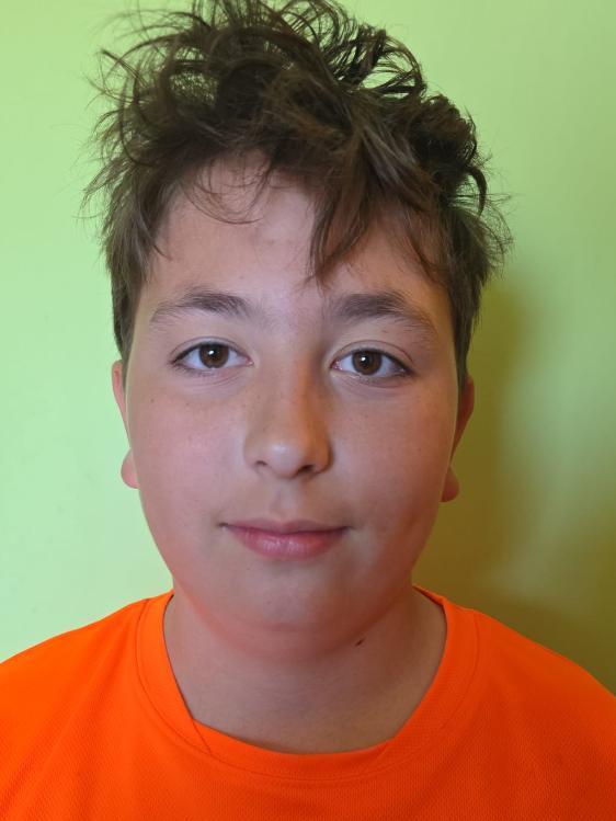 Dominik Sebastian Šimša