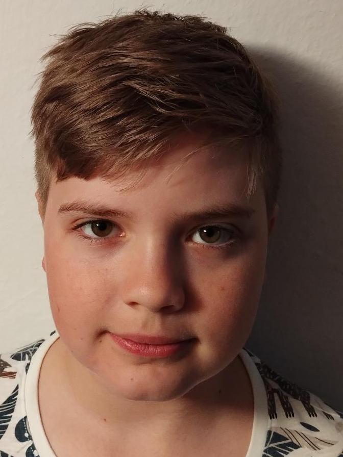 Martin Henrik Gal