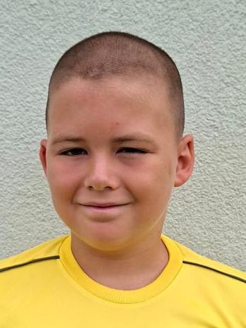 Zoltán Vajk Csölle