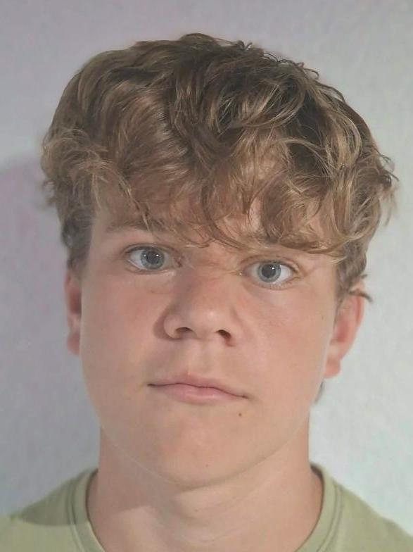 Max Sipko