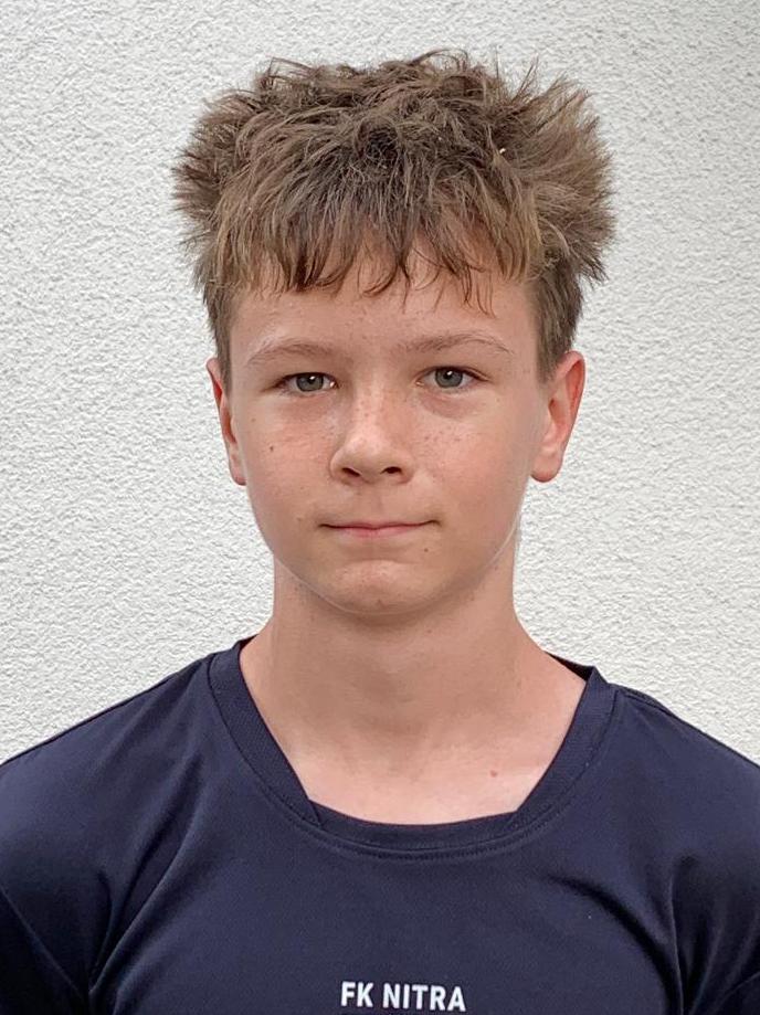 Dominik Hollý