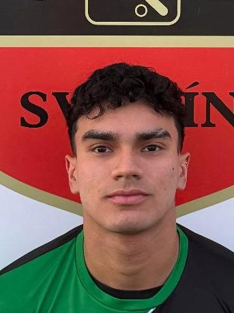 Juan Sebastian Castro Zapata