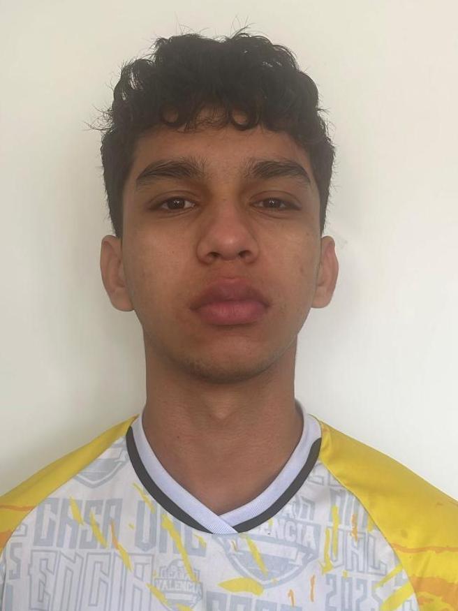 Sebastian Camilo Castellano Medina