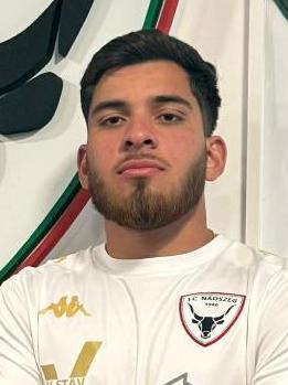 Javier Enrique Santamaria Mago