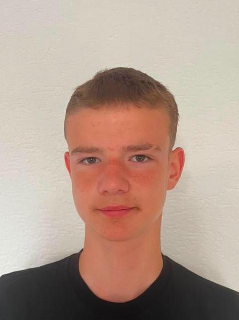 Dominik Tavali