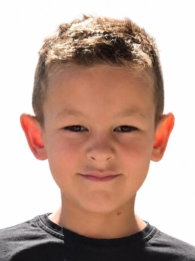 Alex Steiner