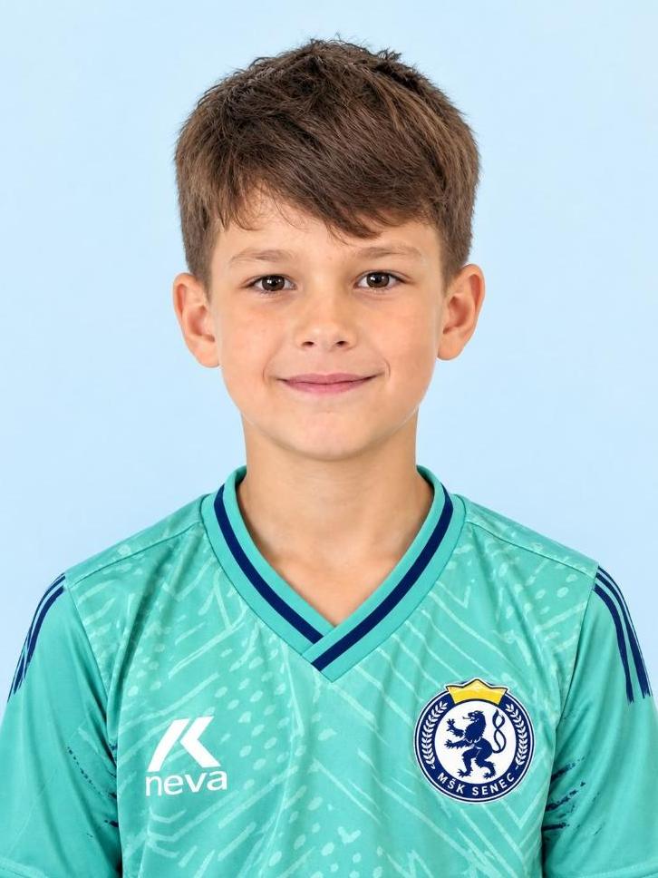 Pavel Šarmír
