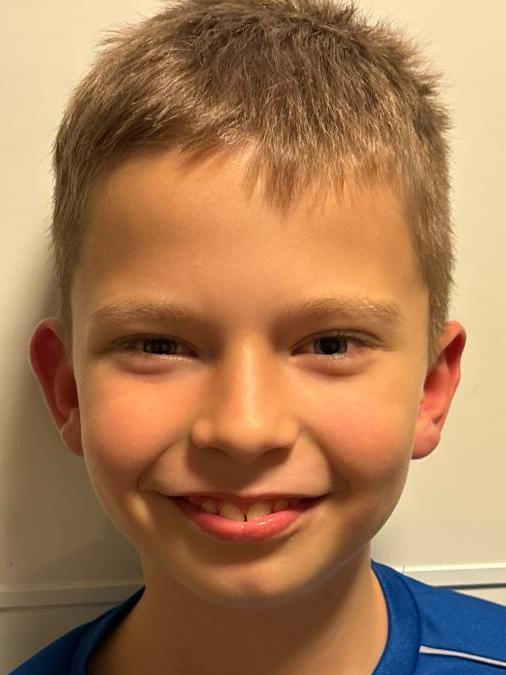Holub Paša