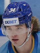 Vjačeslav Kolesnikov