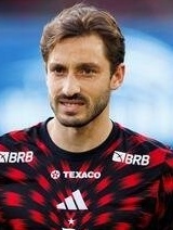 Matías Nicolás Viňa Susperreguy