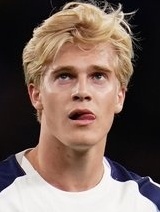Lucas Erik Holger Bergvall