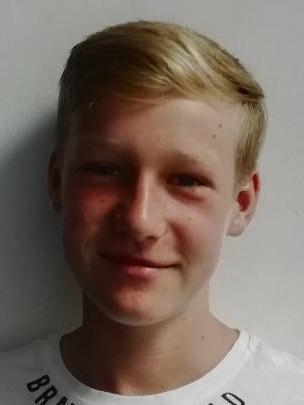Dominik Farý