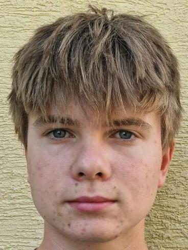Richard Gulik