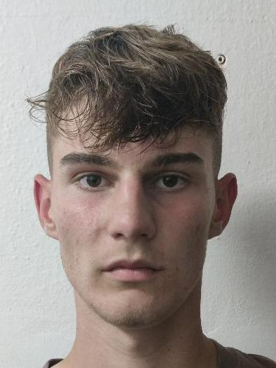 Dávid Frtús
