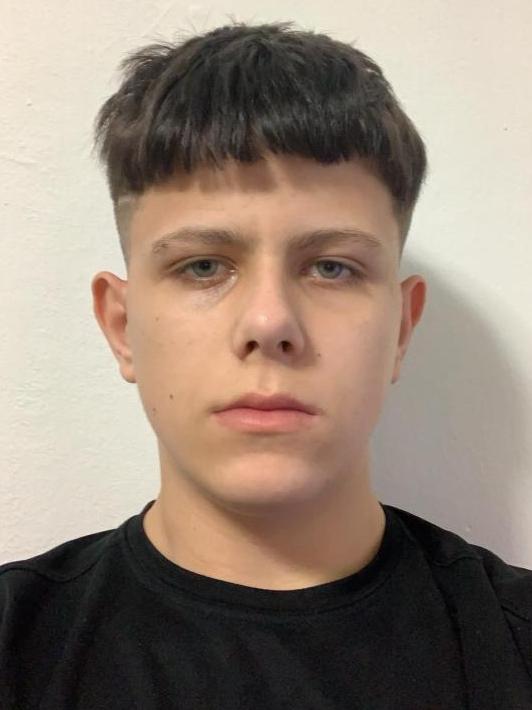 Dominik Serbin